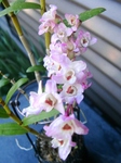 szk090422 002.01.jpg