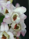 szk090422 008.01.jpg