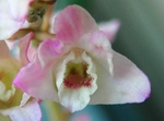 szk090422 009.01.jpg