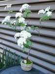 szk090423 001.01.jpg