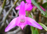 szk090427 008.01.jpg