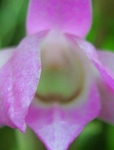 szk090427 009.01.jpg