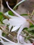szk090427 019.01.jpg