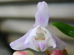 szk090428 003.01.jpg