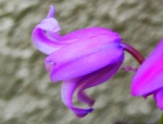 szk090429 008.01.jpg
