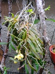 szk090429 009.01.jpg