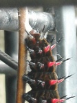 szk090504 002.01.jpg