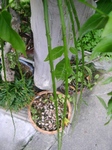 szk090508 002.02.jpg