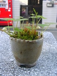 szk090511 001.01.jpg