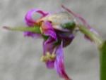 szk090518 018.01.jpg