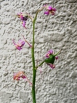 szk090518 021.01.jpg