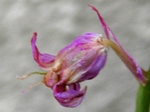 szk090518 024.01.jpg