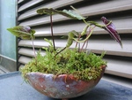 szk090521 010.01.jpg
