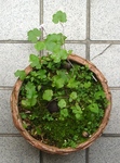 szk090602 002.01.jpg