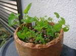 szk090606 002.01.jpg