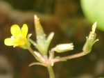 szk090607 002.01.jpg