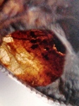 szk090612 026.01.jpg