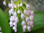szk090617 014.01.jpg
