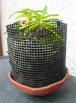 szk090618 001.01.jpg