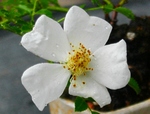 szk090621 007.01.jpg