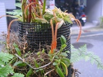 szk090623 003.01.jpg