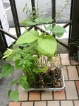 szk090623 016.01.jpg