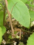 szk090724 005.01.jpg