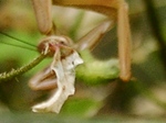 szk090724 006.01.jpg