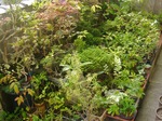 szk090831 002.01.jpg