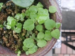 szk090904 009.01.jpg