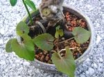 szk090914 002.01.jpg