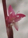 szk090914 013.01.jpg