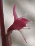 szk090914 019.01.jpg