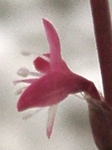 szk090914 021.01.jpg