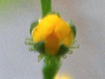 szk090916 009.01.jpg
