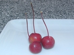 szk090918 004.01.jpg