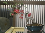 szk090920 002.01.jpg