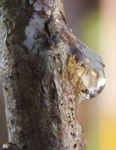 szk090921 005.01.jpg