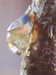 szk090921 007.01.jpg