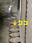 szk090921 013.01.jpg