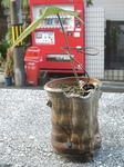 szk091003 001.01.jpg