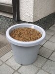 szk091005 011.01.jpg