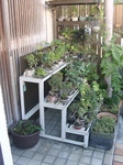 szk091012 008.01.jpg