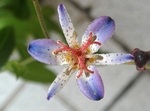 szk091012 012.01.jpg