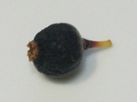 szk091013 002.01.jpg