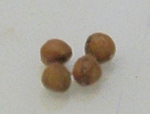 szk091013 008.01.jpg