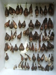 szk091018 005.01.jpg