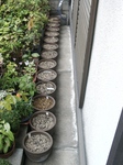 szk091019 001.01.jpg
