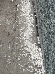 szk091019 002.01.jpg