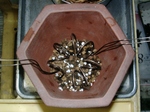 szk091027 005.01.jpg